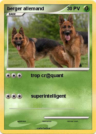 Pokemon berger allemand