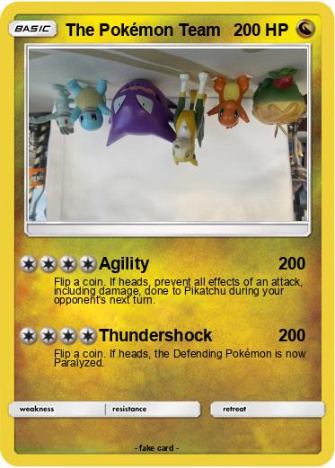 Pokemon The Pokémon Team