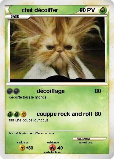 Pokemon chat décoiffer