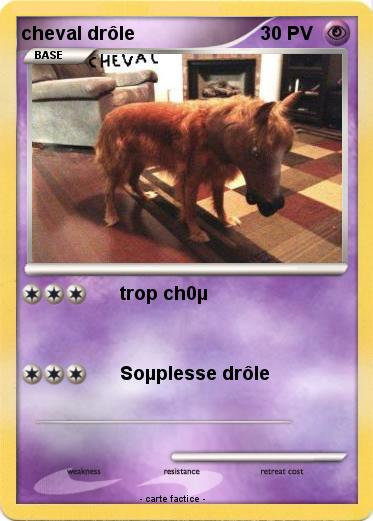 Pokemon cheval drôle