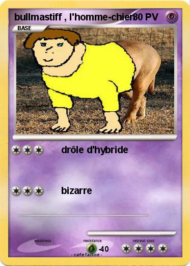 Pokemon bullmastiff , l'homme-chien