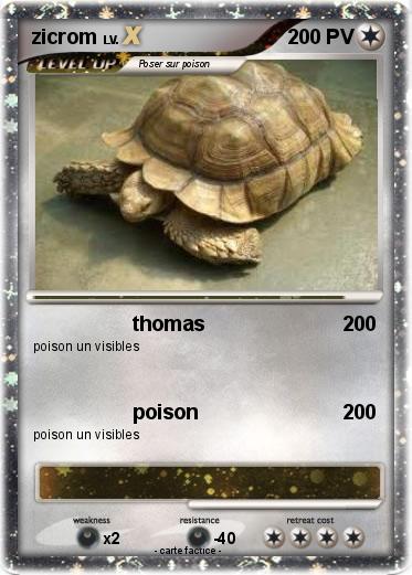 Pokemon zicrom