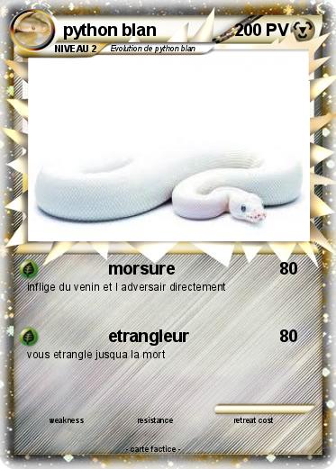 Pokemon python blan