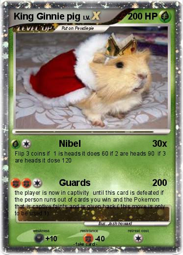 Pokemon King Ginnie pig