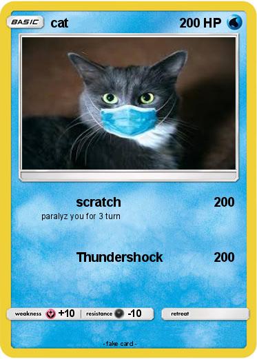 Pokemon cat