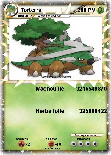 Pokemon Torterra