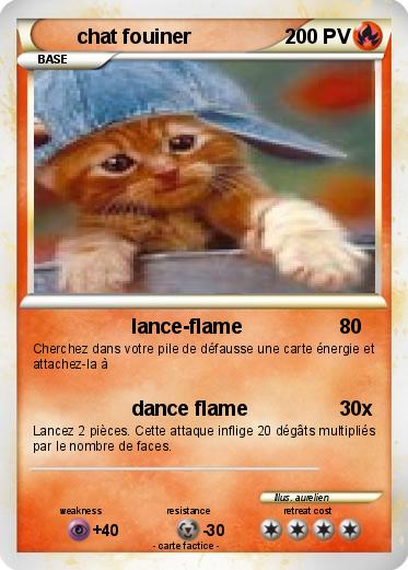 Pokemon chat fouiner