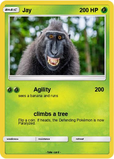 Pokemon Jay