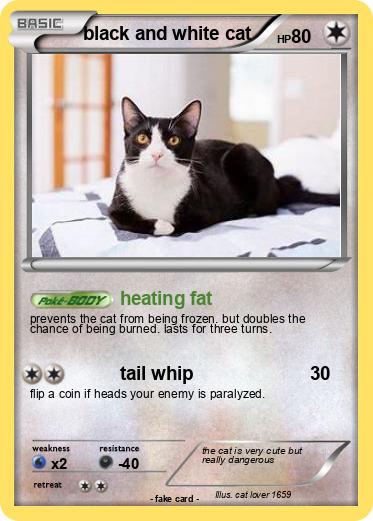 Pokemon black and white cat