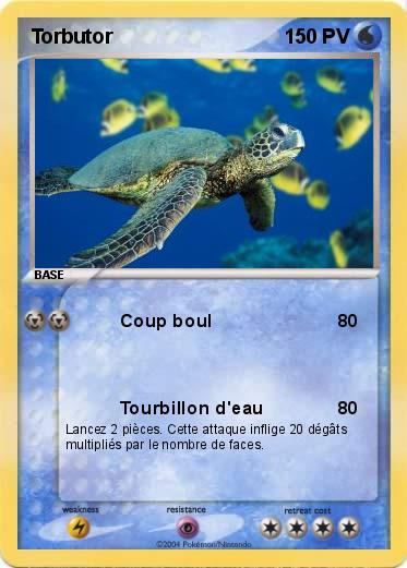 Pokemon Torbutor