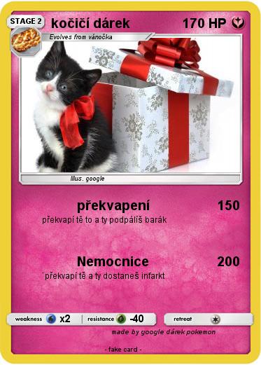 Pokemon kočičí dárek