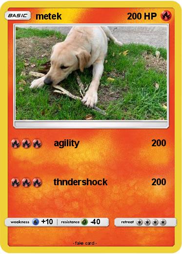 Pokemon metek