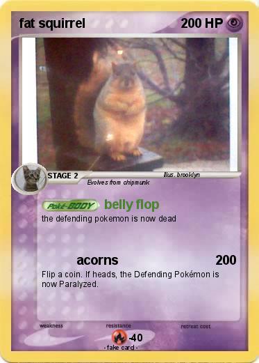 Pokemon fat squirrel