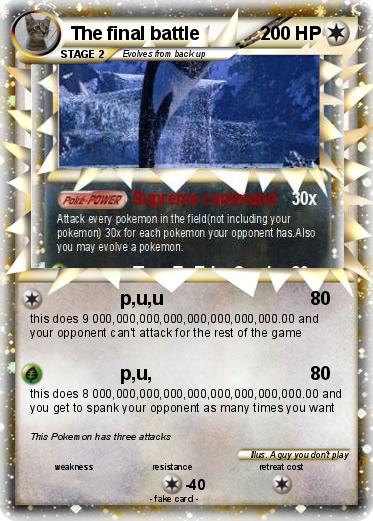Pokemon The final battle