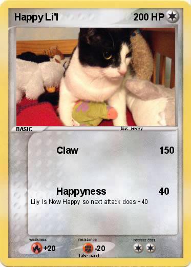 Pokemon Happy Li'l