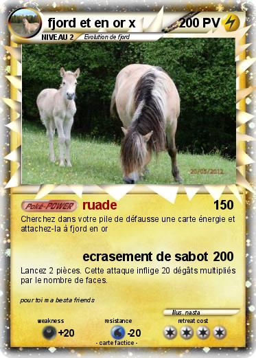 Pokemon fjord et en or x