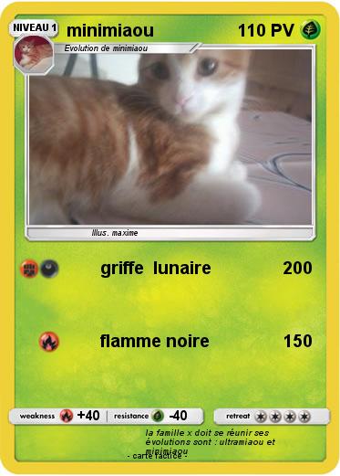 Pokemon minimiaou