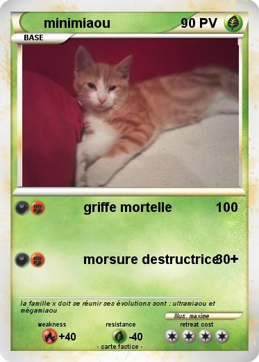 Pokemon minimiaou