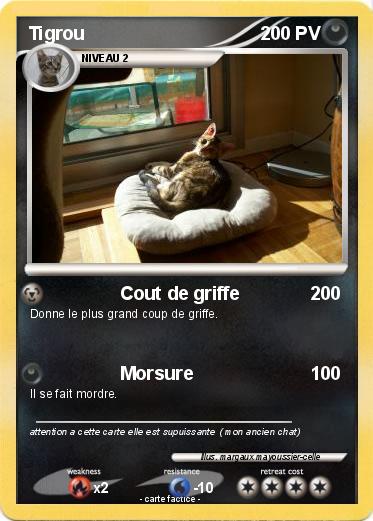 Pokemon Tigrou