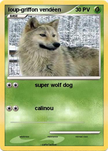 Pokemon loup-griffon vendéen