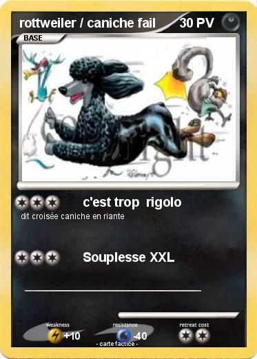 Pokemon rottweiler / caniche fail