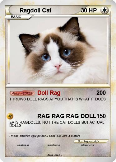 Pokemon Ragdoll Cat