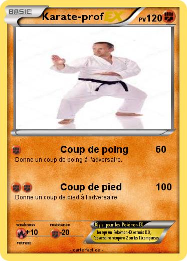 Pokemon Karate-prof
