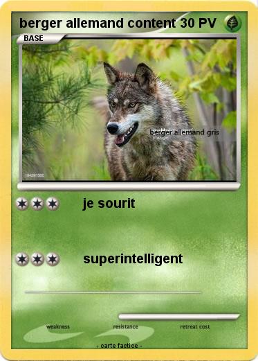 Pokemon berger allemand content
