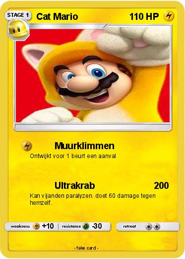 Pokemon Cat Mario
