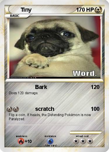 Pokemon Tiny