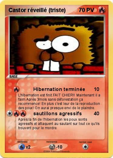 Pokemon Castor réveillé (triste)