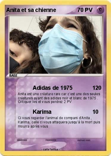 Pokemon Anita et sa chienne