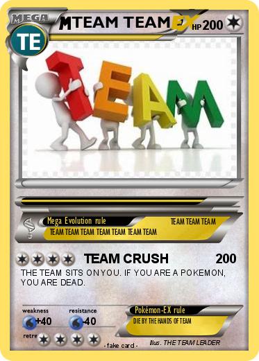 Pokemon TEAM TEAM