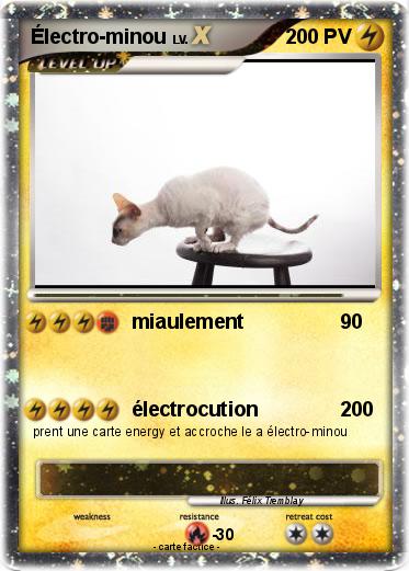 Pokemon Électro-minou