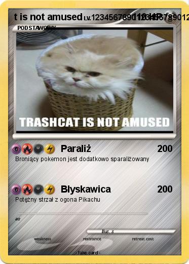 Pokemon t is not amused