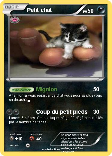 Pokemon Petit chat