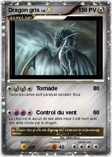 Pokemon Dragon gris