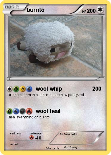 Pokemon burrito