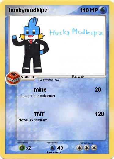 Pokemon huskymudkipz