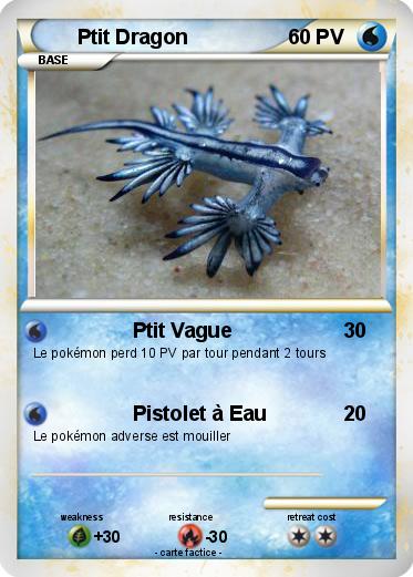 Pokemon Ptit Dragon