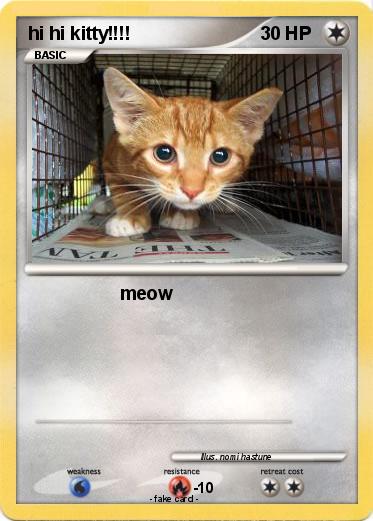 Pokemon hi hi kitty!!!!