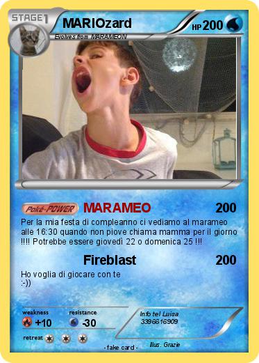 Pokemon MARIOzard