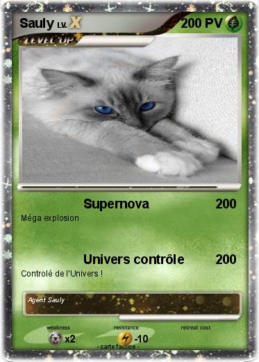 Pokemon Sauly