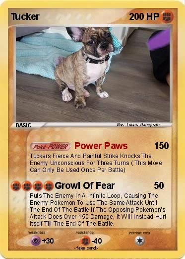 Pokemon Tucker