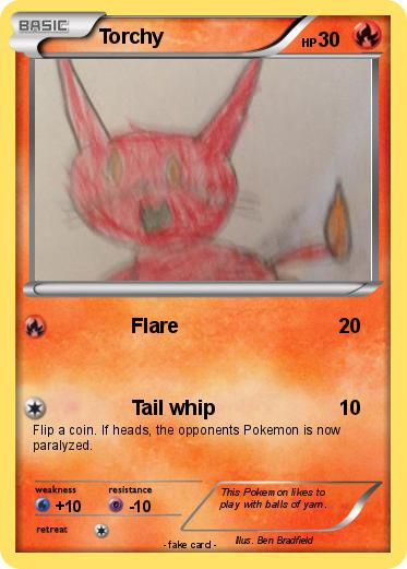 Pokemon Torchy