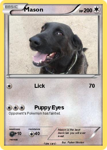 Pokemon Mason