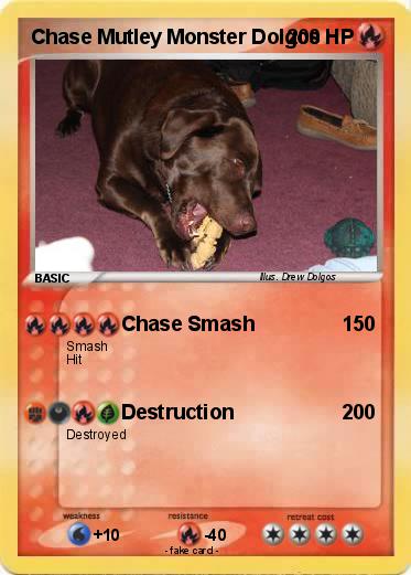 Pokemon Chase Mutley Monster Dolgos