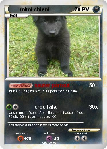 Pokemon mimi chient
