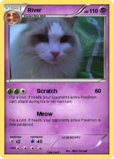 Pokemon River