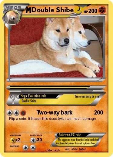 Pokemon Double Shibe